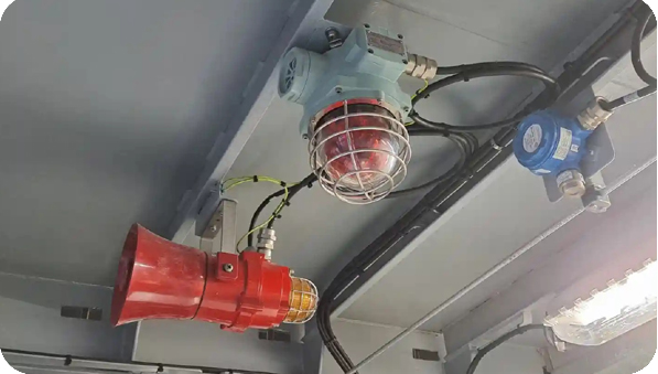 Marine gas monitoring systems